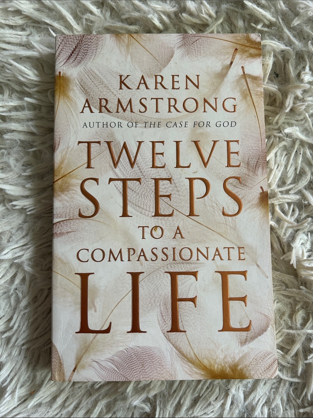 Twelve (12) steps to a compassionate life, by Karen Armstrong, paperback